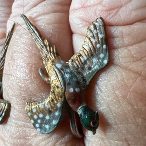 Vintage Pheasant Bird Screw Back Earrings Hand painted Celluloid